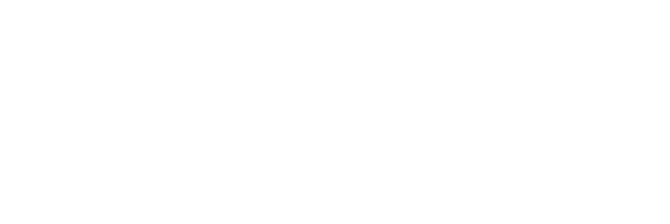 White Adobe Illustrator logo | stcdigitol