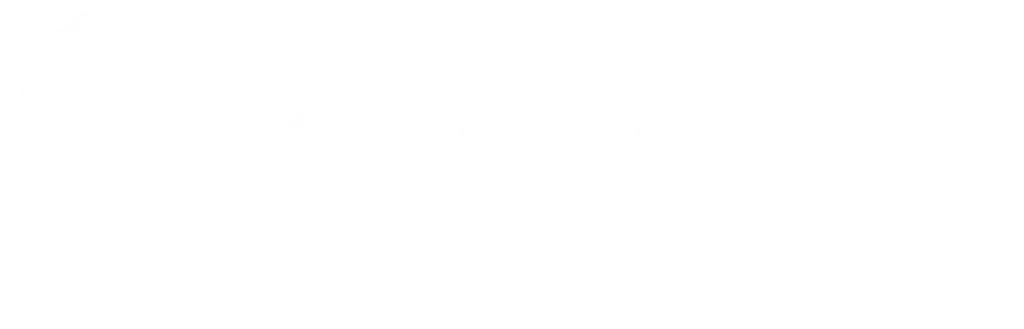 White Google logo | stcdigitol