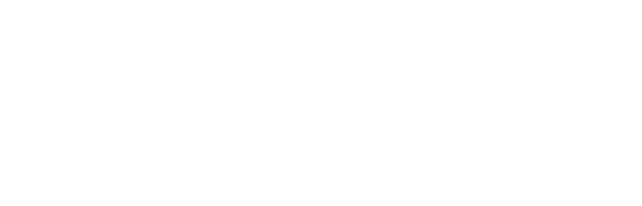 White Google logo | stcdigitol