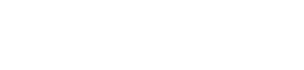 White WordPress logo | stcdigitol